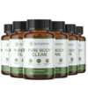 Pure Body Clean (6 Dosen)