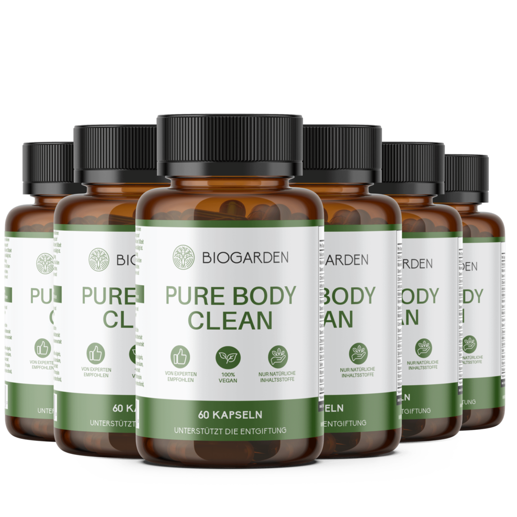 Pure Body Clean 6 Dosen